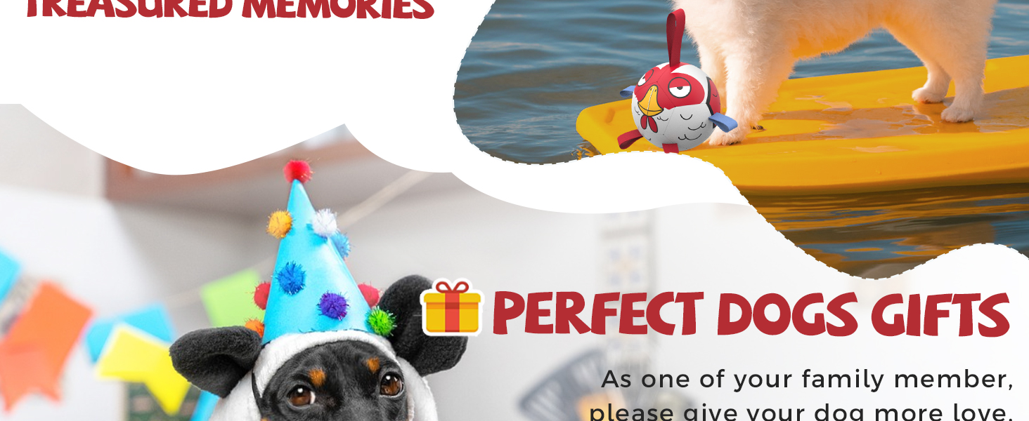 Perfect Dogs Gifts