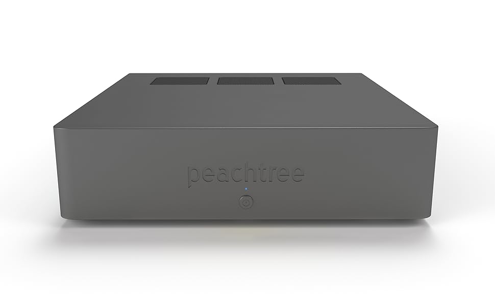 Peachtree Audio GaN 1 Amplifier Electronics