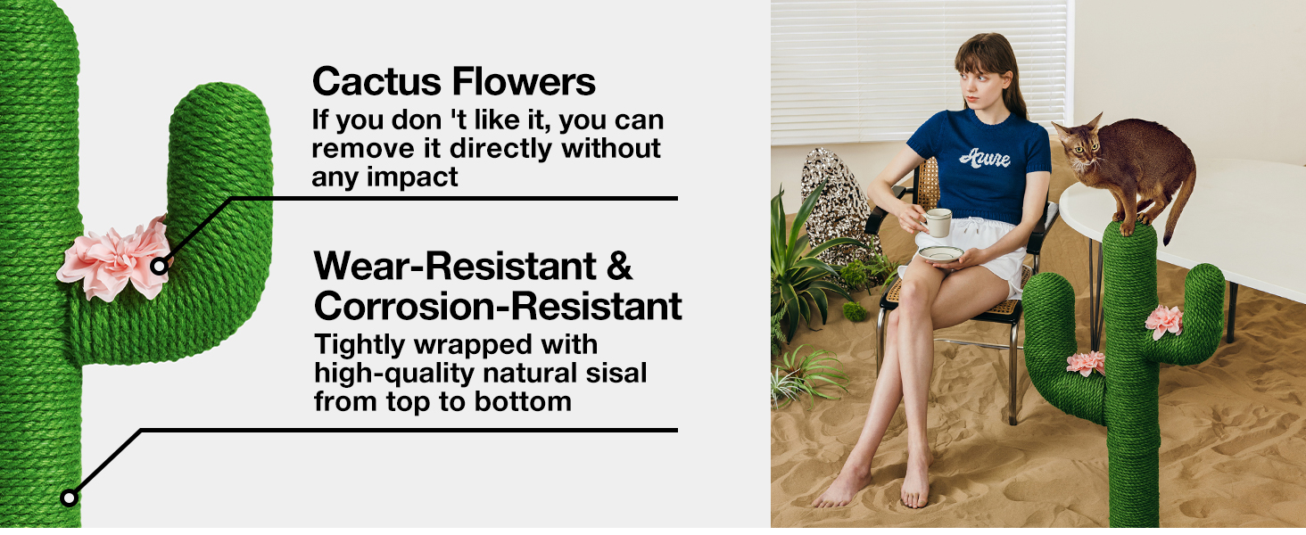 cactus flower cat post