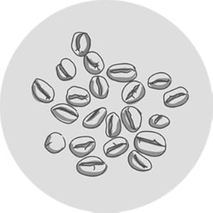 Peter Thomas Roth, caffeine, ingredient, FIRMx Tight & Toned Cellulite Treatment