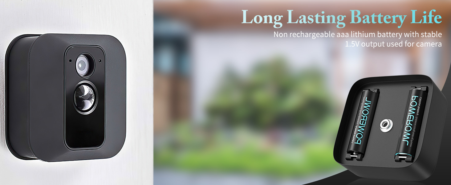 long lasting AAA lithium battery