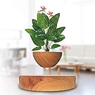 magnetic levitating plant pot,levitating air bonsai pot,levitation plant