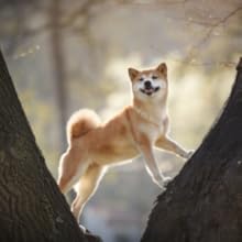 Small manufacture image 6