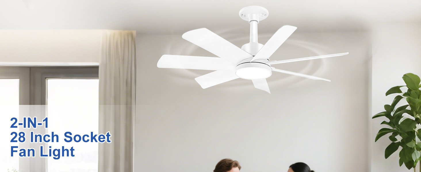ceiling fans with lights
