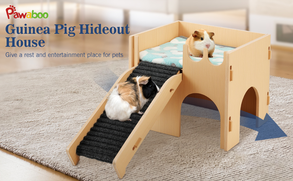 guinea pig and hamster house