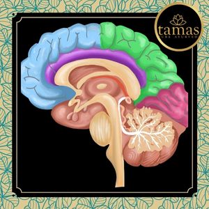 Volt haqida porno multfilm