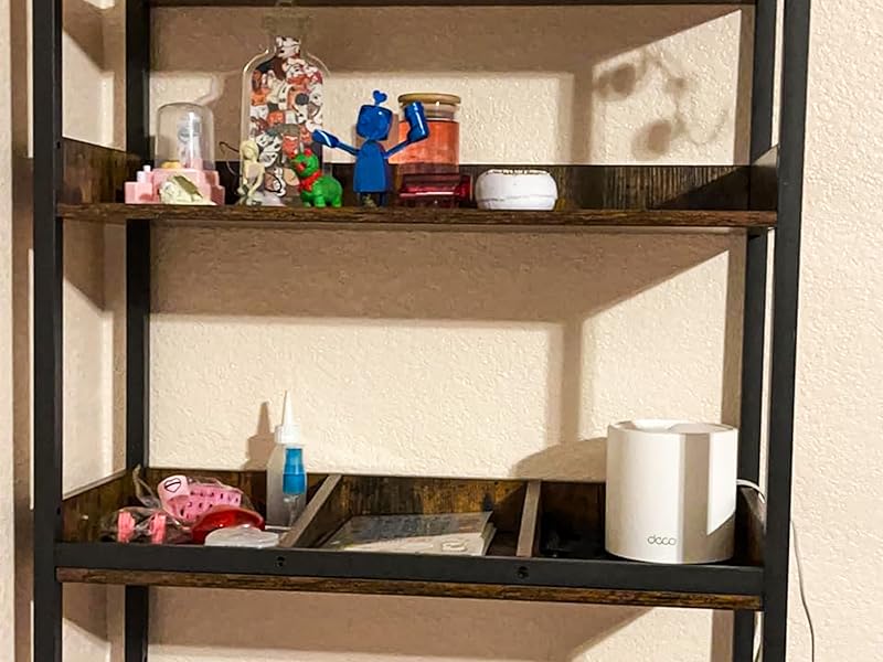 over-the-toilet+storage