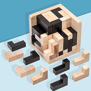 Wooden Brain Teaser Puzzle