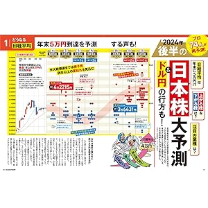 セット売り】ダイヤモンドザイが作ったフリーランスのためのお金
