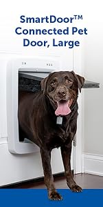 SmartDoor Connected Pet Door, Large