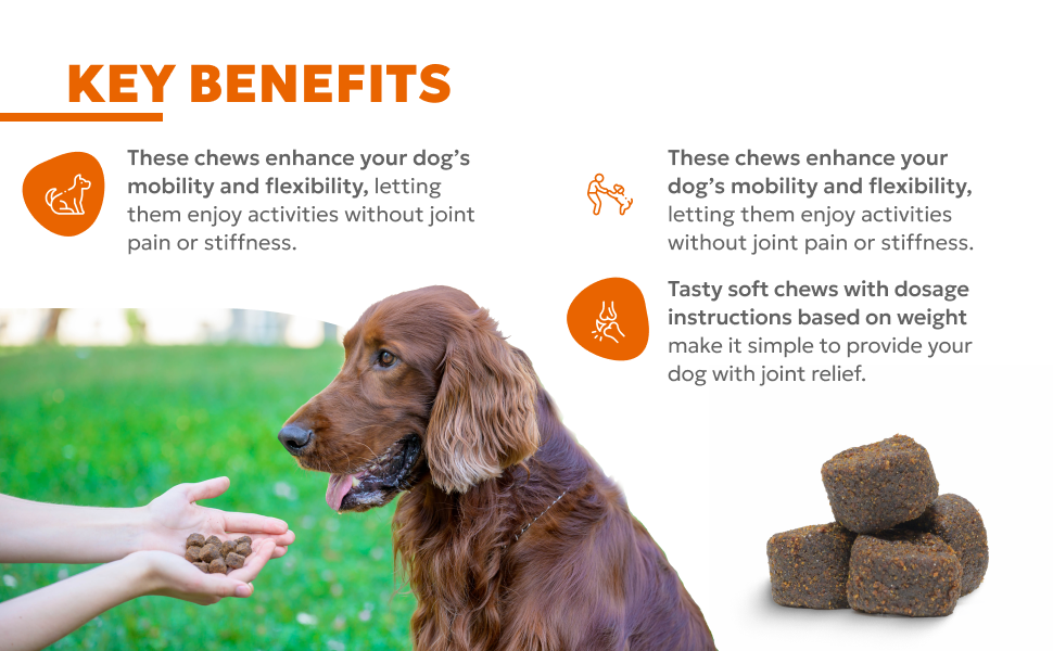 Wholesome Pet Wags Hip & Joint