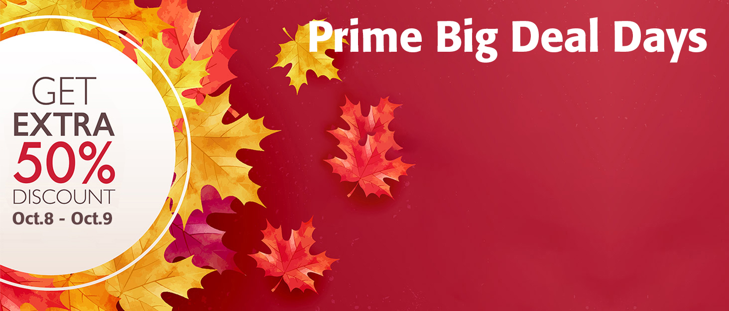 24 fall sales