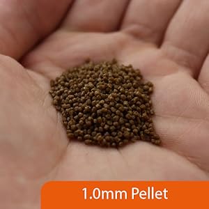 Small manufacture image 1