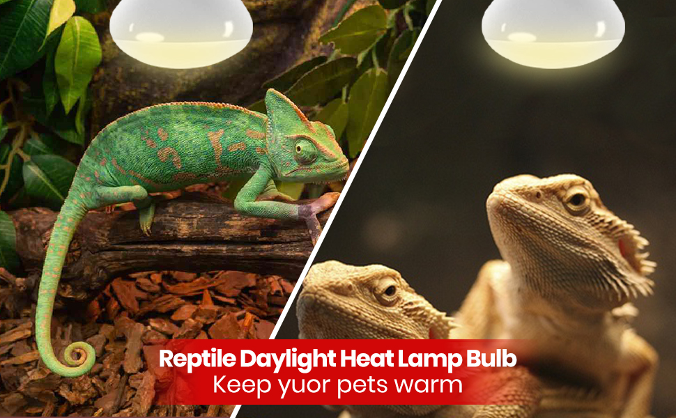 BULBMASTER 75 Watts UVA Reptile Heat Lamp Bulbs Basking
