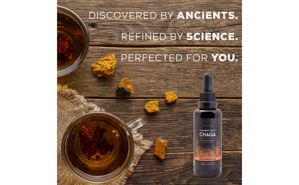 surthrival chaga refined by science