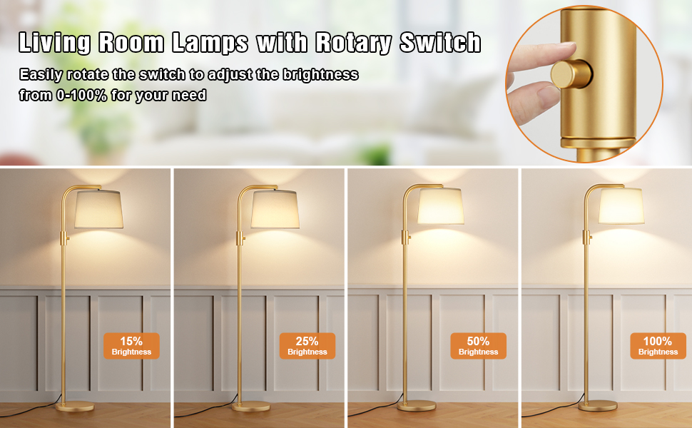 1000 Lumens LED Edison Bulb Included