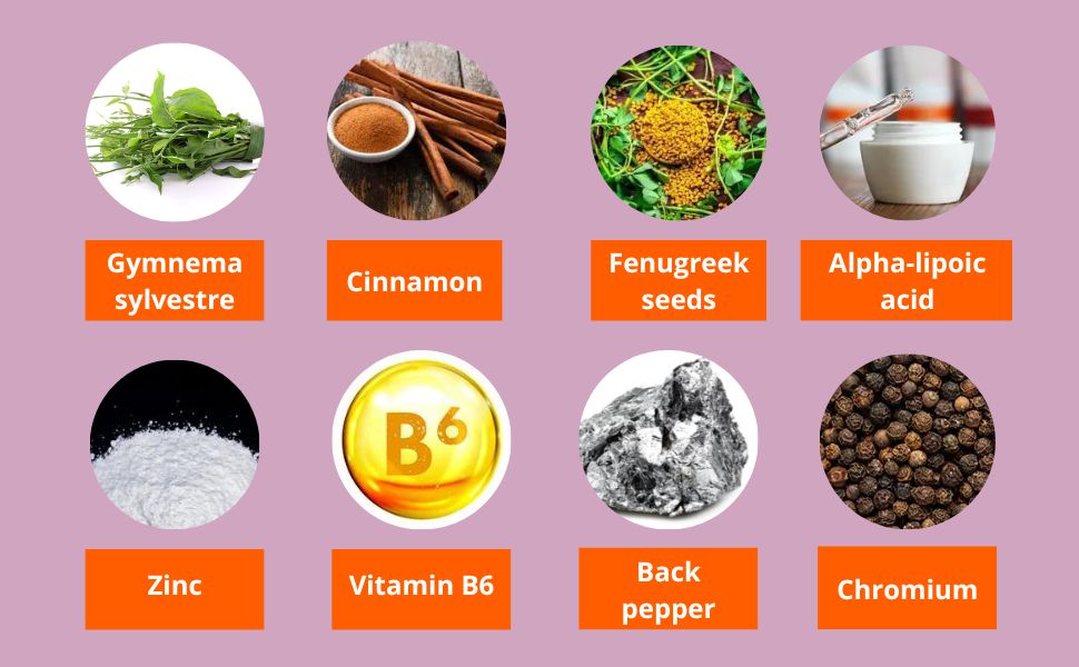 Fenugreek, Gymnema sylvestre, Chromium, Cinnamon, Alpha Lipoic Acid - Berberine + Alpha Lipoic Acid + Chromium