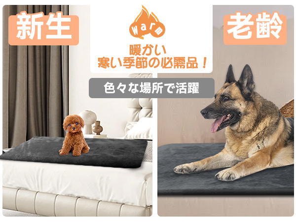 ペット用ホットカーペット【2025年強化版ペット専門家铃木監修】70x45cm Amazon | ペット用ホットカーペット【ペット専門家鈴木監修