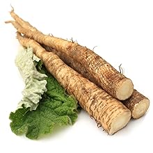 burdock root