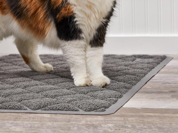 Soft Coil Topside on cats Paws on top of cat litter mat