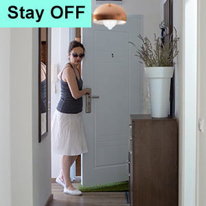 Small manufacture image 1