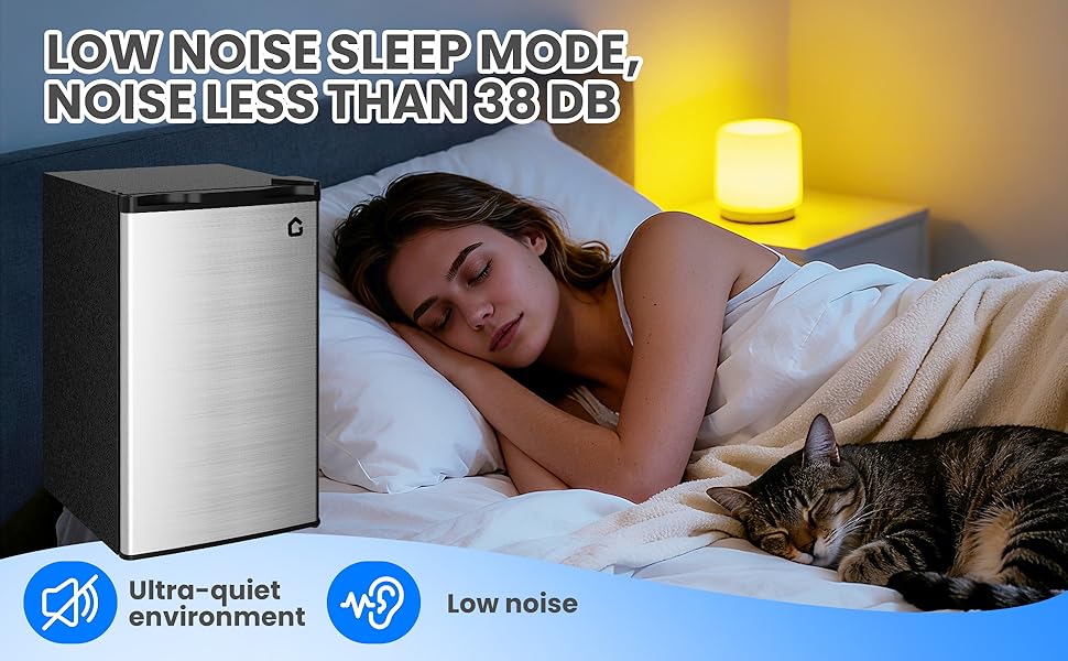 Mini Fridge with Freezer