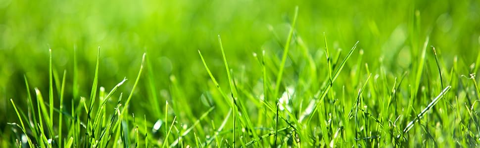 grass shears