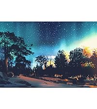 風景　オーロラ　Jigsaw Puzzle ジグソーパズル　大量　まとめ売り 71yPaVGJbGL._UF894,1000_QL80_.jpg