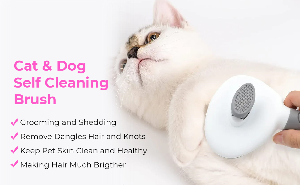 cat brush