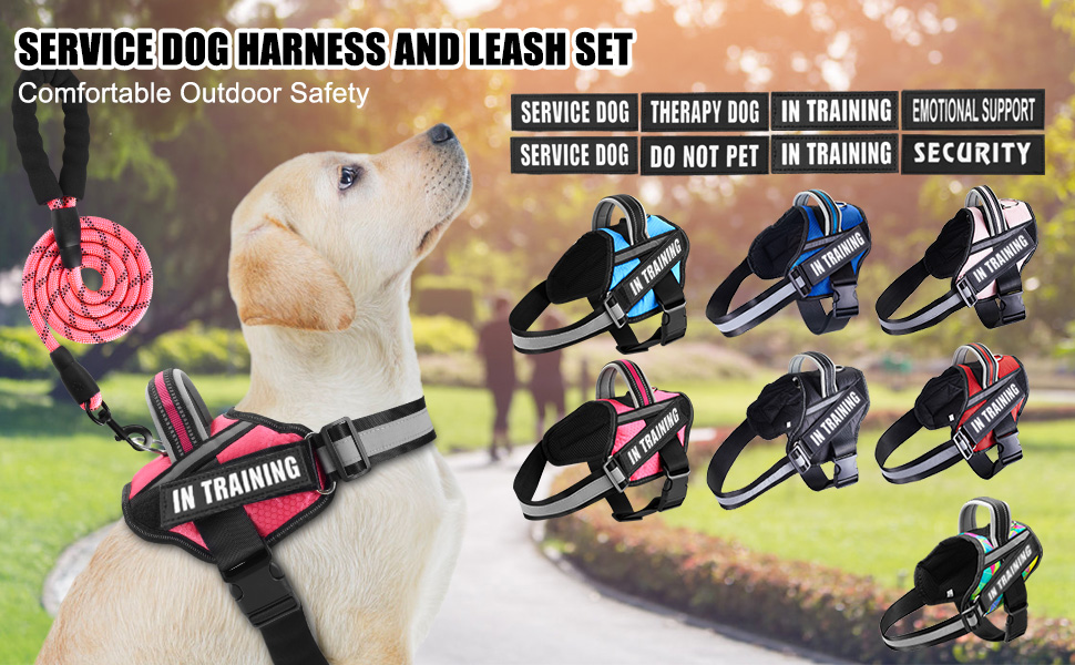 Service Dog Vest Harness and Leash Set, Animire in