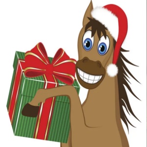 Adjustable Horse Blinder