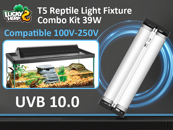 Amazon.com : LUCKY HERP T5 Reptile Light Fixture Combo Kit
