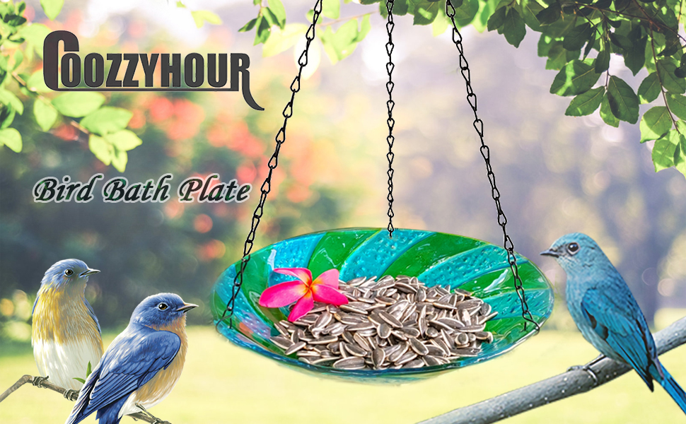 11 Inch Hanging Bird Feeder Outdoor Glass Bowl Bird Bath for Garden