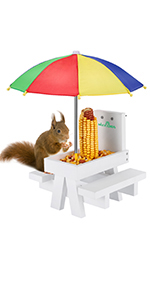 squirrel feeder