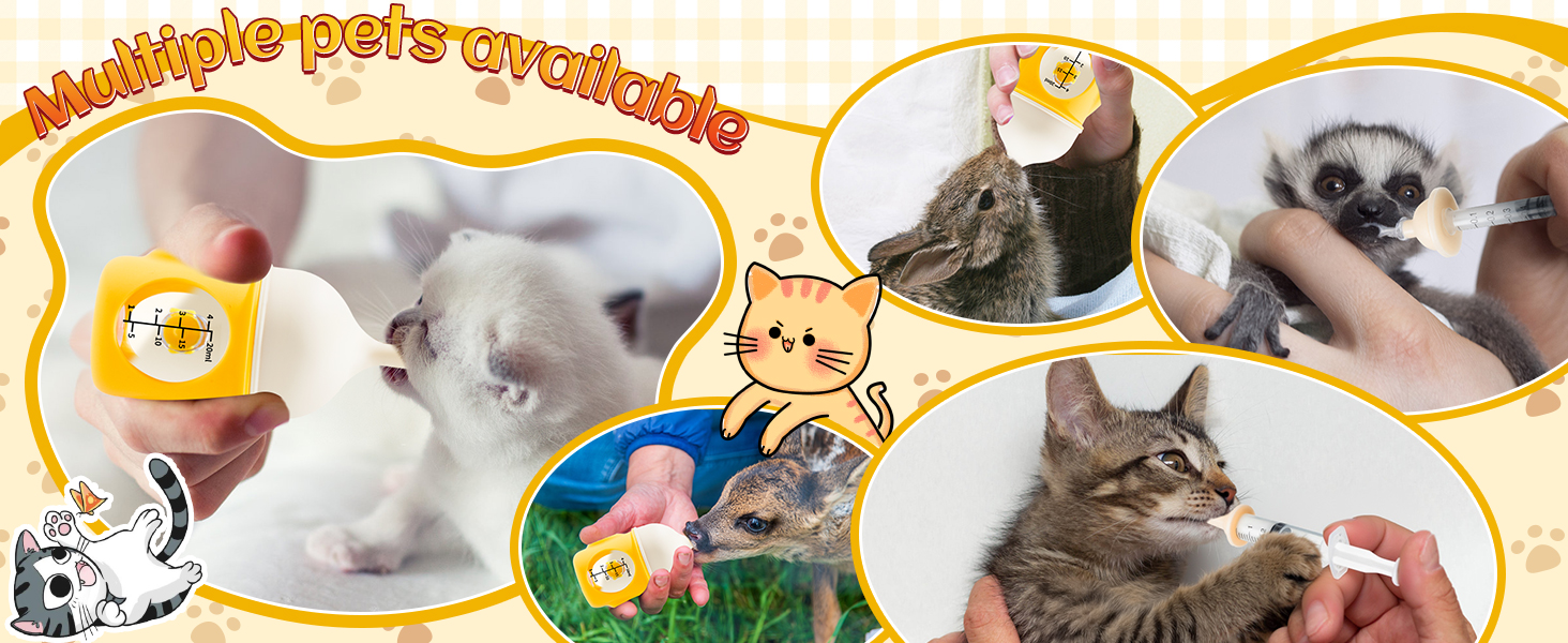 kitten nursing nipples