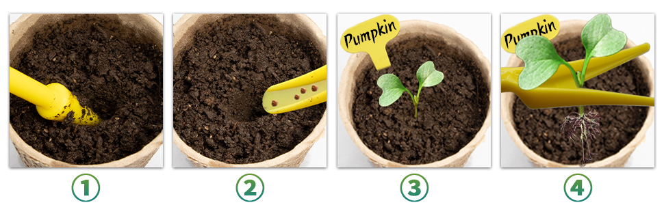 Peat Pots for Seedlings