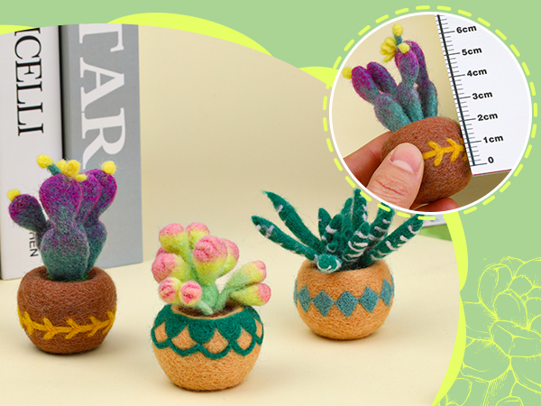 Succulent Wool Felting Kit