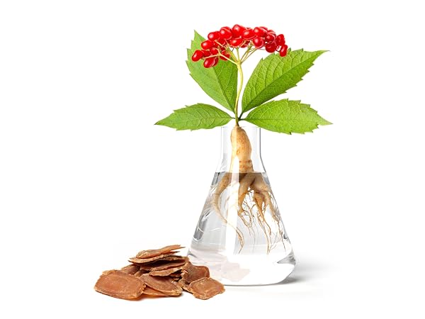 KOREAN RED GINSENG