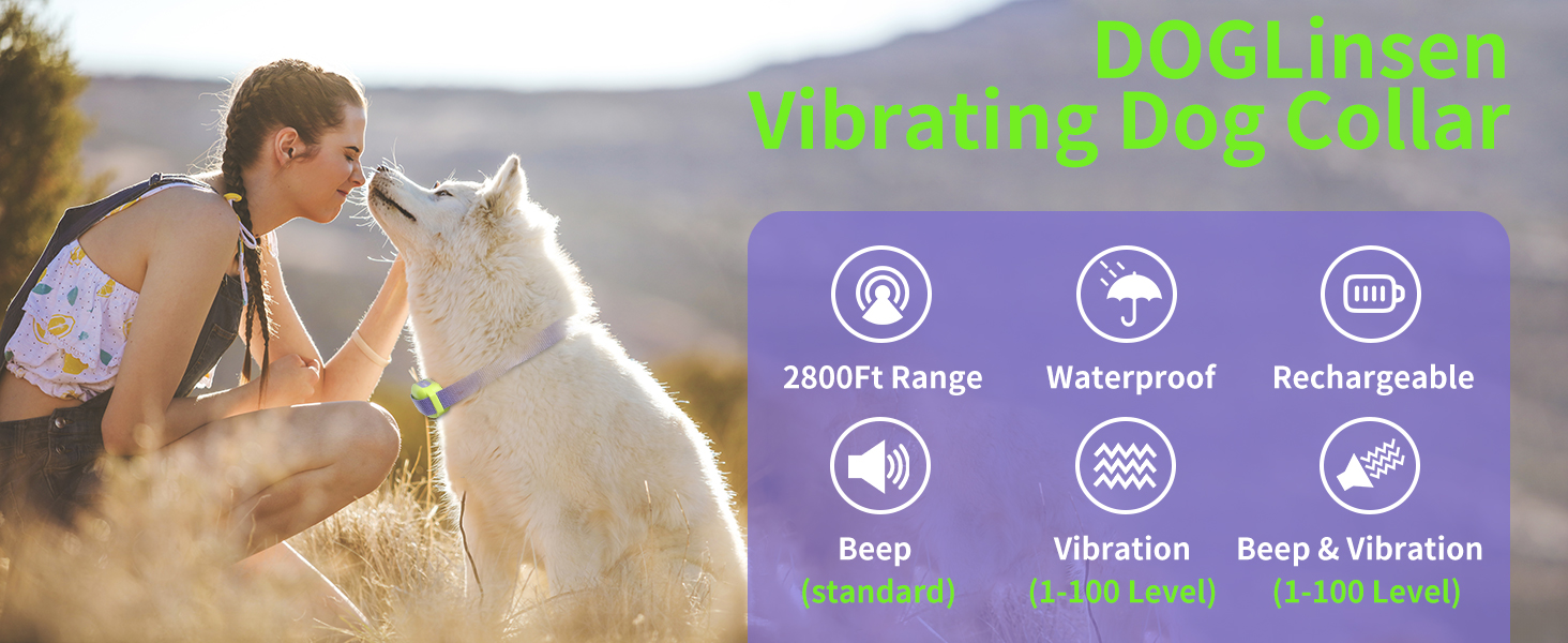 Dog Training Collar No Shock Vibrating Dog Collar