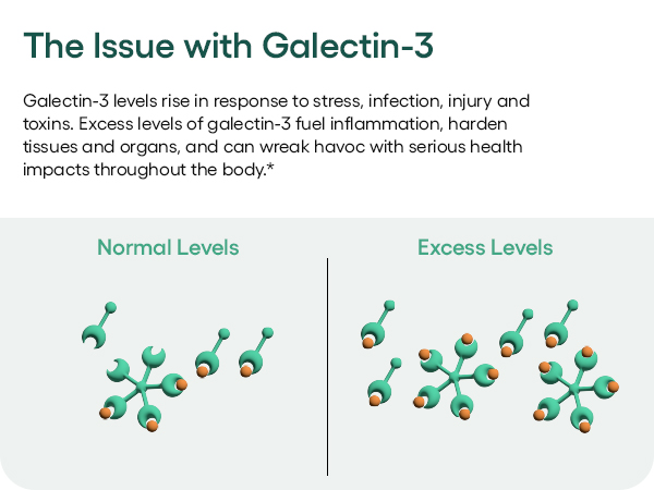 The Issue with Galectin-3