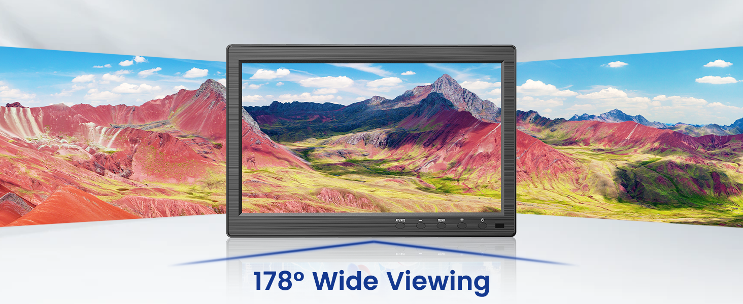 security monitor
