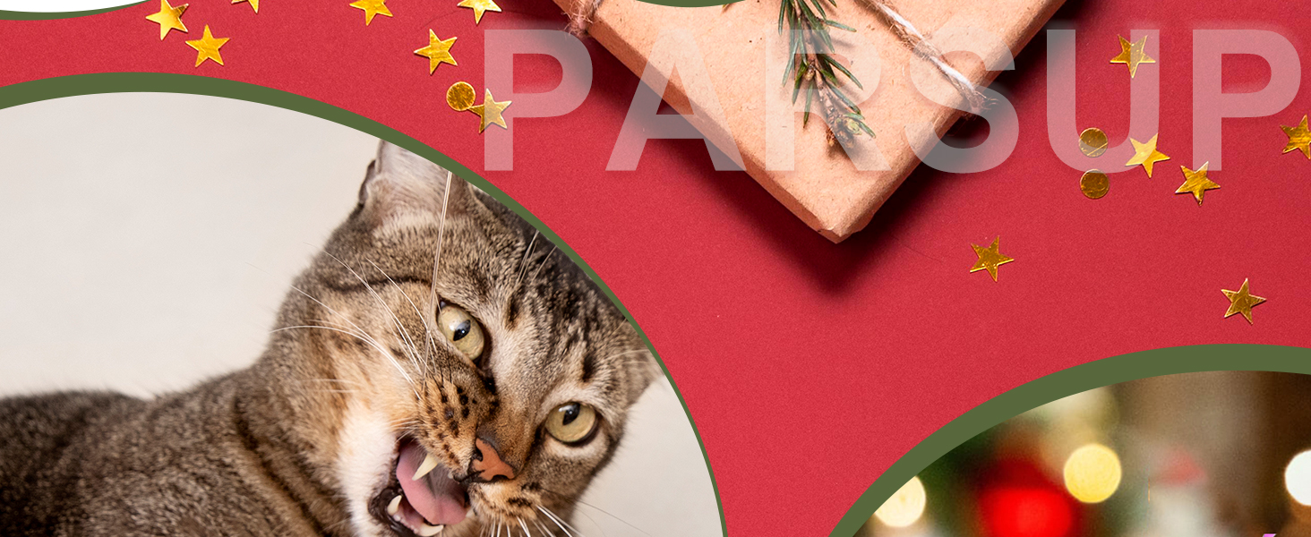 Christmas Cat Toy Advent Calendar 2024 Christmas Holiday