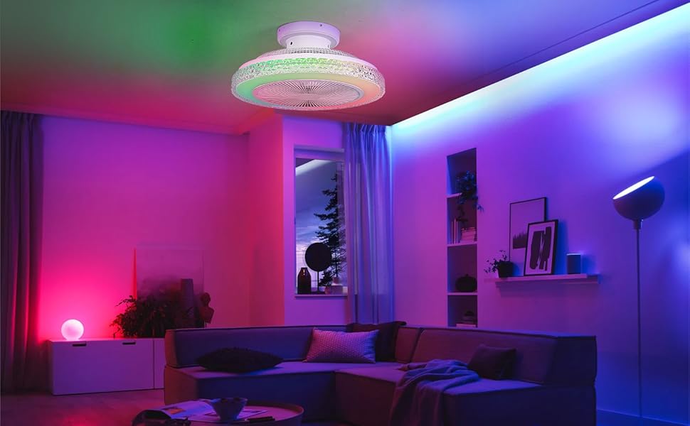 EIDISUNY 20" Ceiling Fan with Remote Control & App, Low Profile Ceiling