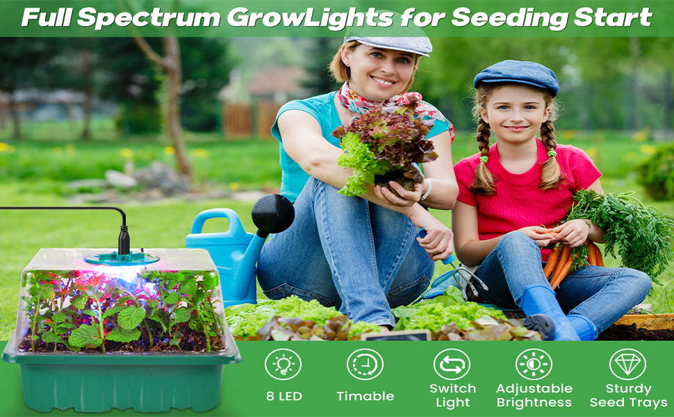 seed starter tray