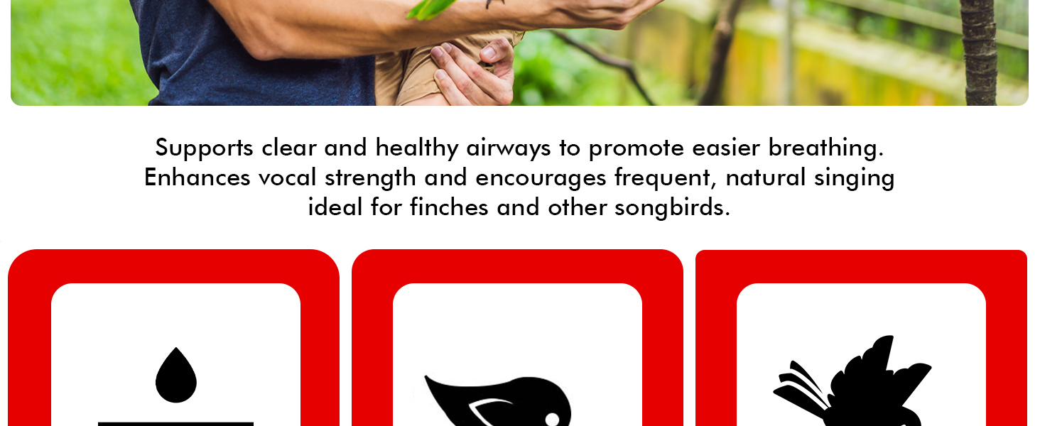 bird vitamins and supplements cardinals for finches high protein