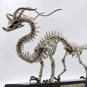 恐竜骨格フィギュア Amazon.co.jp: [AiO JAPAN] 玩具 恐竜 骨 フィギュア 12種類