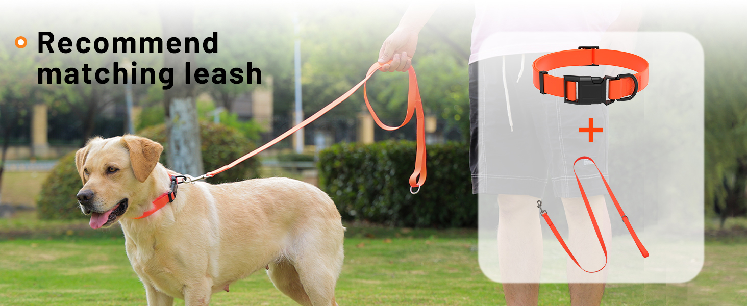 Waterproof Dog Collar