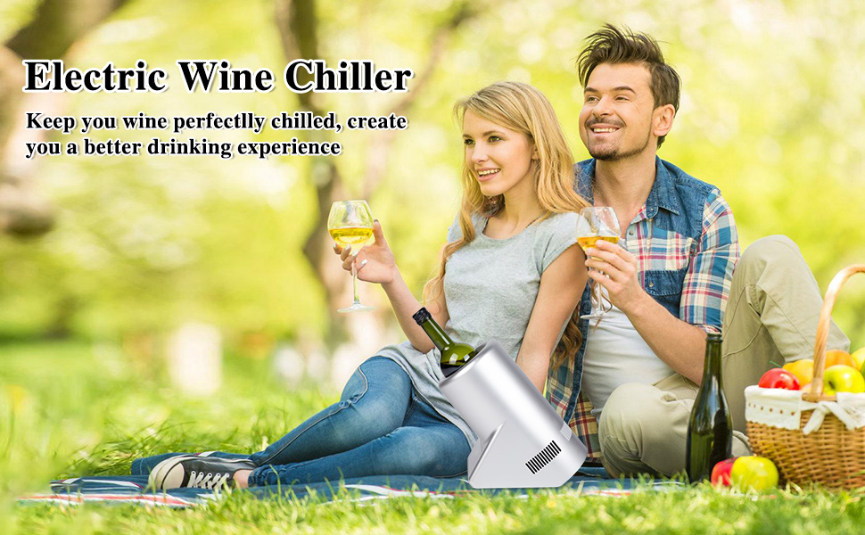 Electric Wine Chiller, Wine Cooler for 750mL Wine
