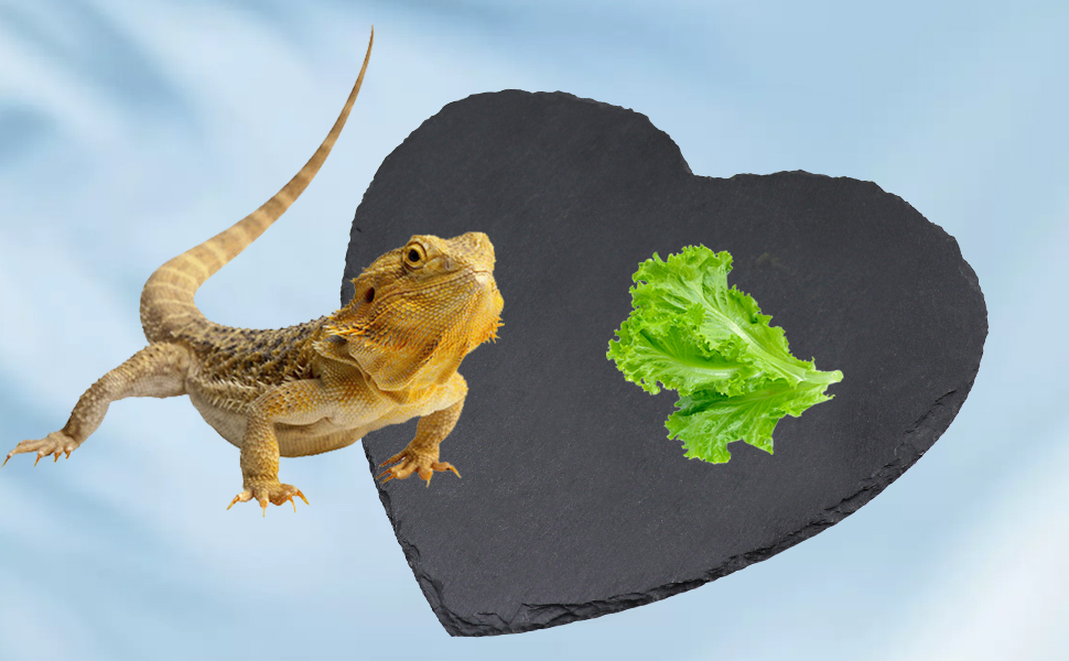 Reptile Basking Platform, Tortoise Rock Plate