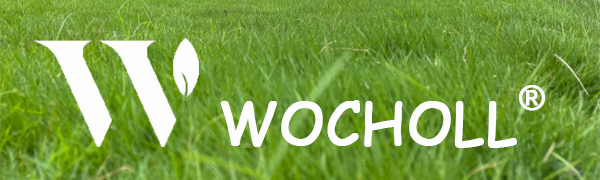WOCHOLL1
